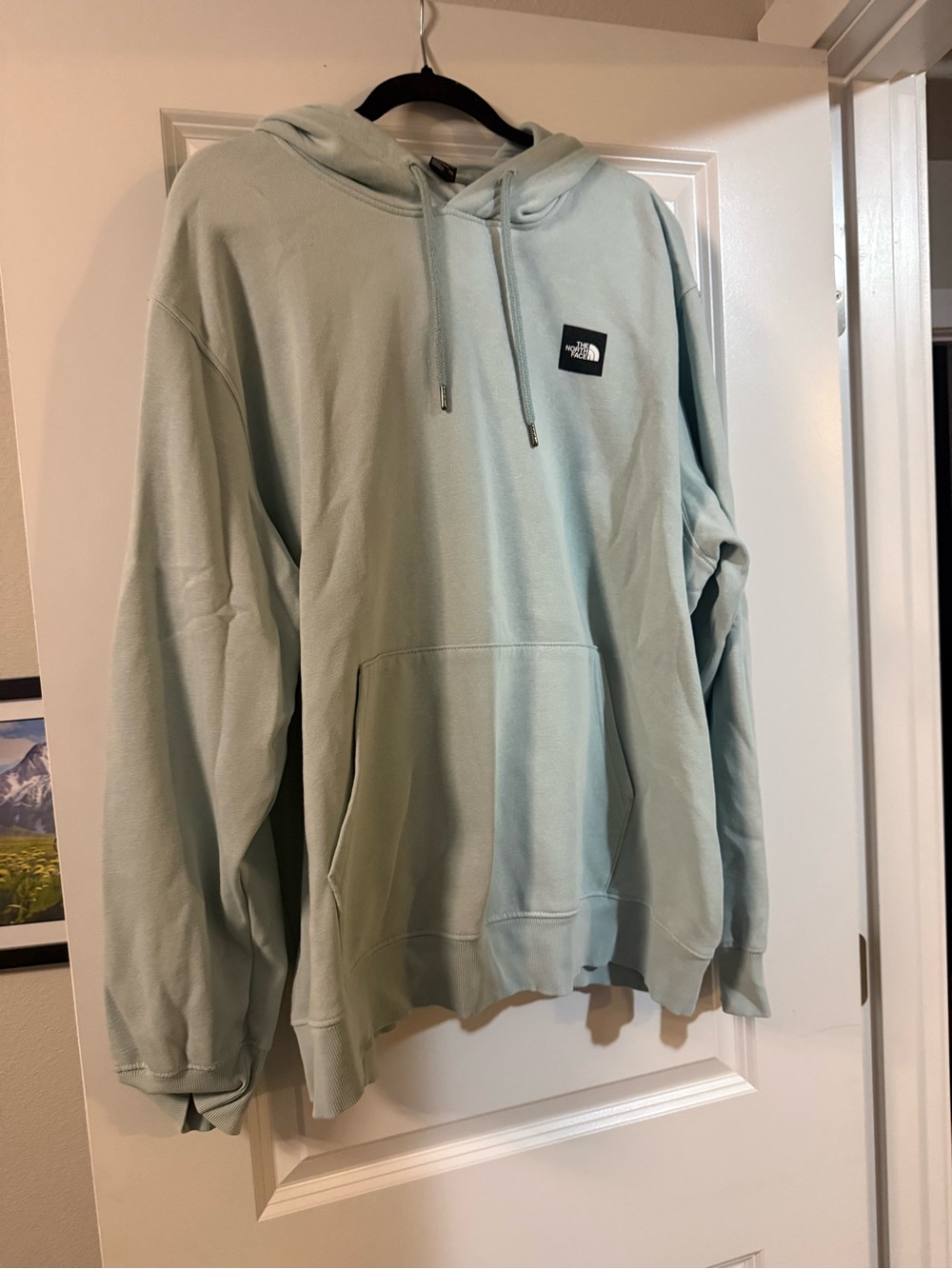 The North Face Men's Hoodie in Mint Green Pullover